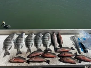 Fishing in Naples, Florida