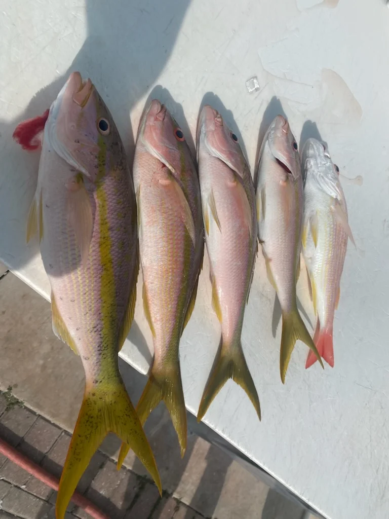 Fishing in Key West, Florida