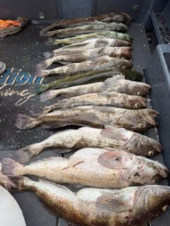 Fishing in Berkeley, California