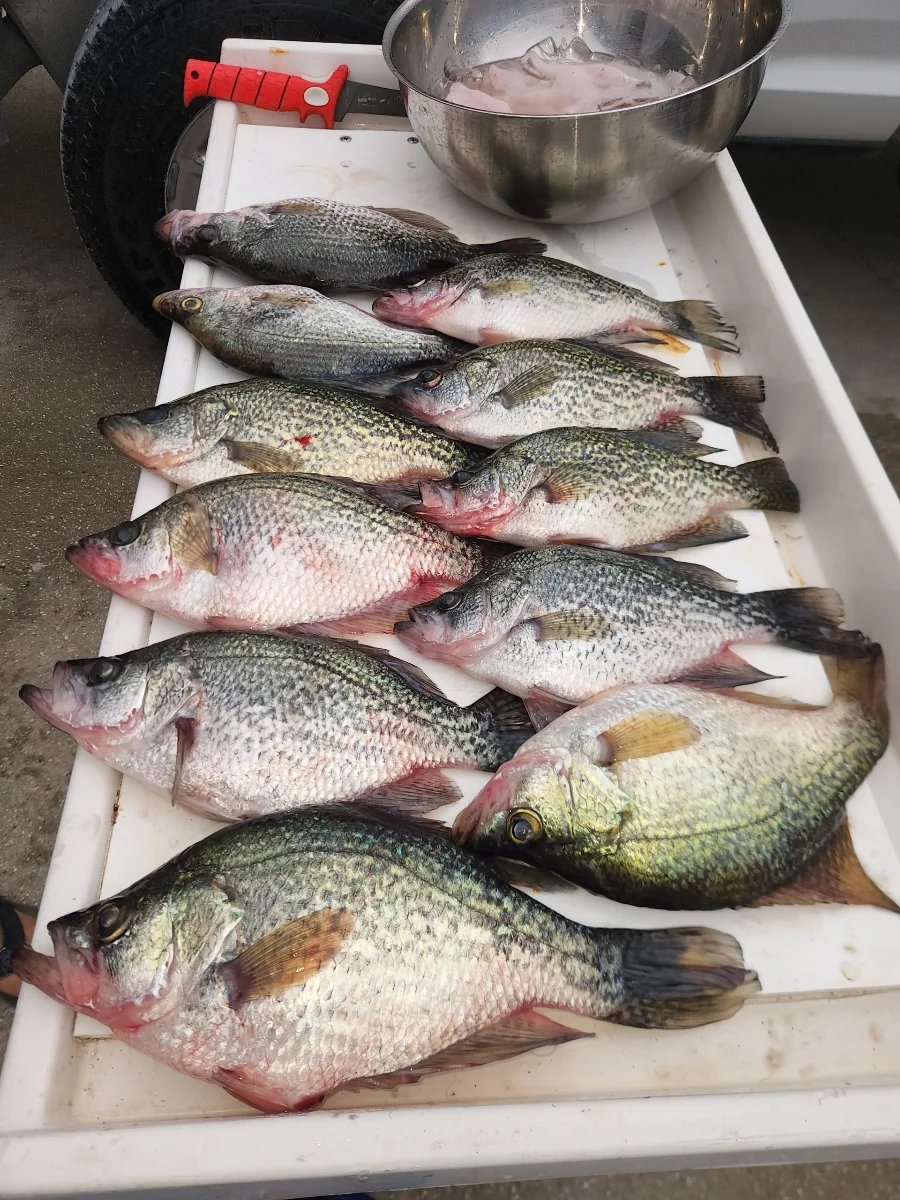 Fishing in Wellington, Florida