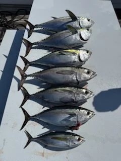Fishing in Stuart, Florida