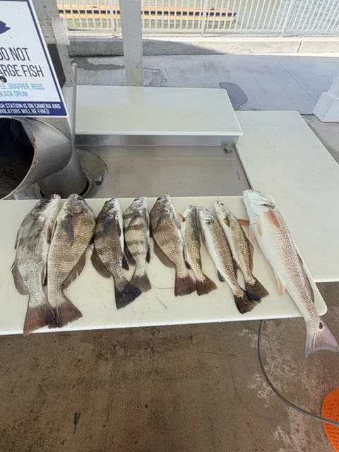 Fishing in Corpus Christi, Texas
