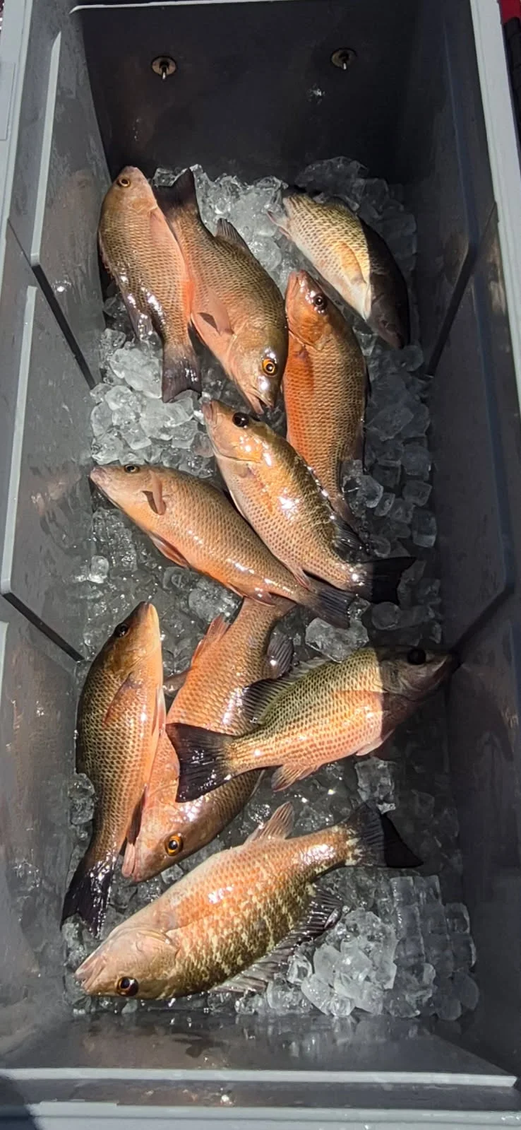 Fishing in Vero Beach, Florida