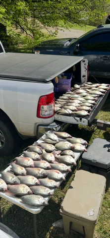 Fishing in Vernon, Alabama