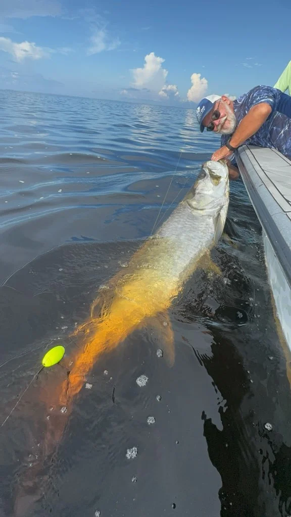 Fishing in Punta Gorda, Florida