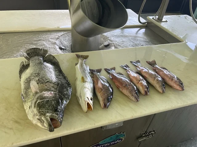 Fishing in Loxahatchee Groves, Florida