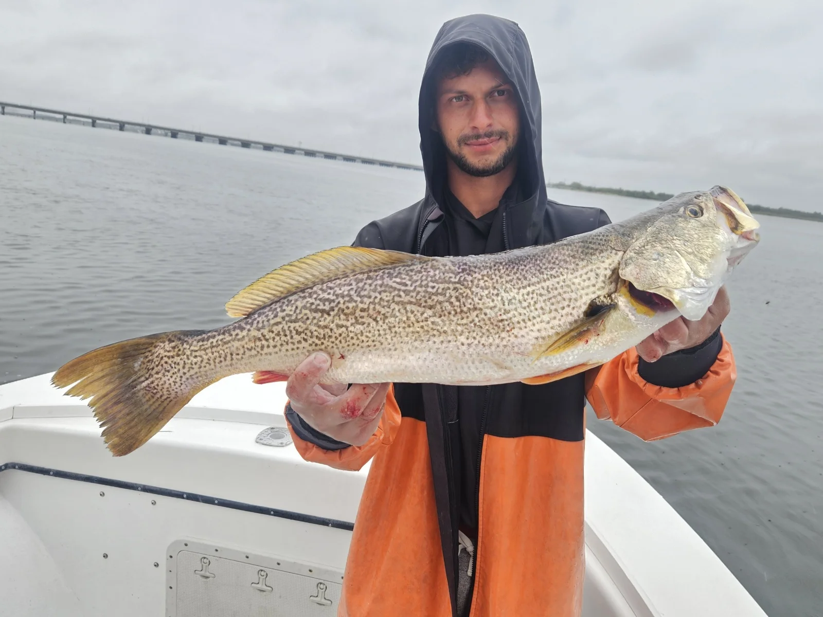 Fishing in Howard, New York