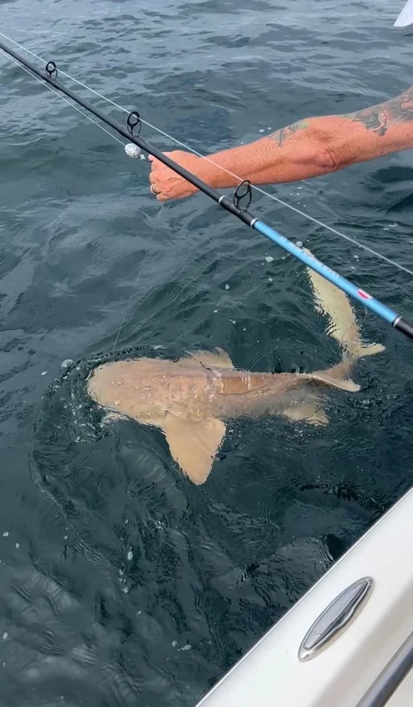 Fishing in Panama City, Florida