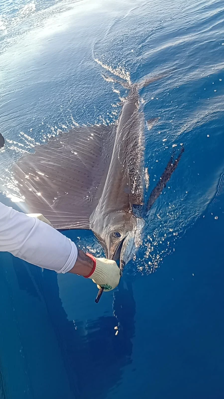 Fishing in Jaco, Costa Rica