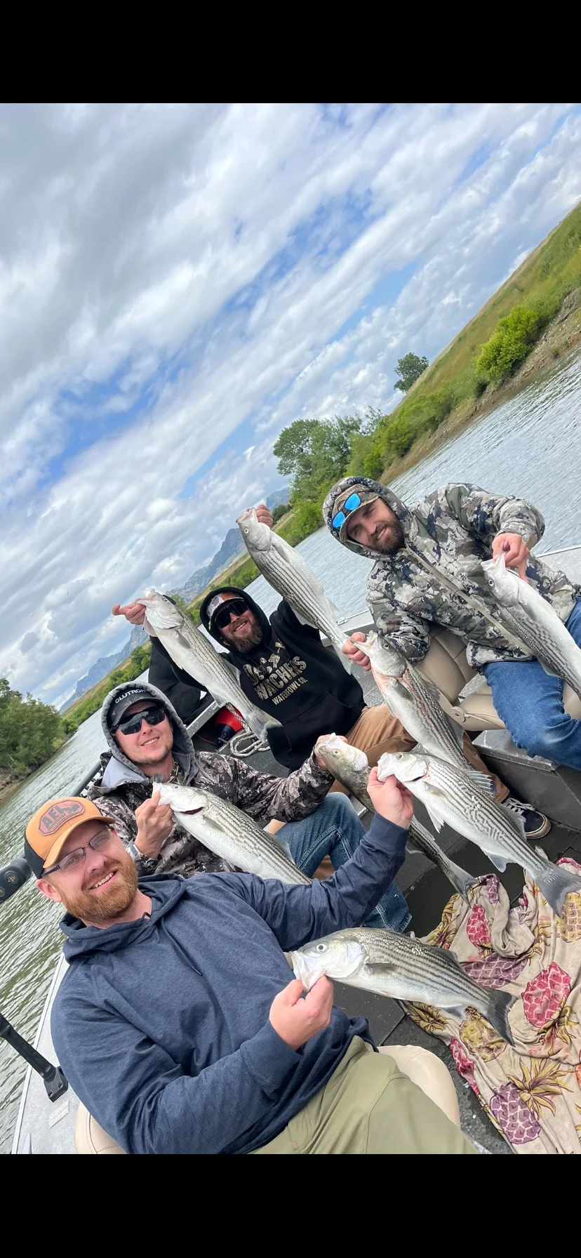 Fishing in Knights Landing, California