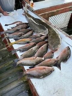 Amberjack, Mutton Snapper, Yellowtail Snapper Fishing in Key West, Florida