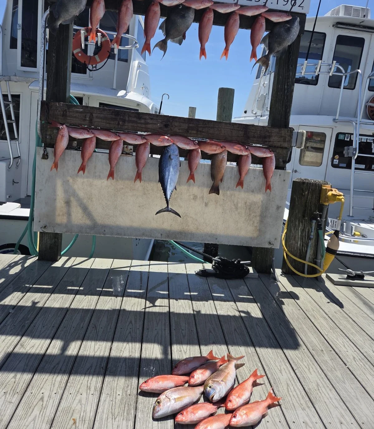 Fishing in Destin, Florida