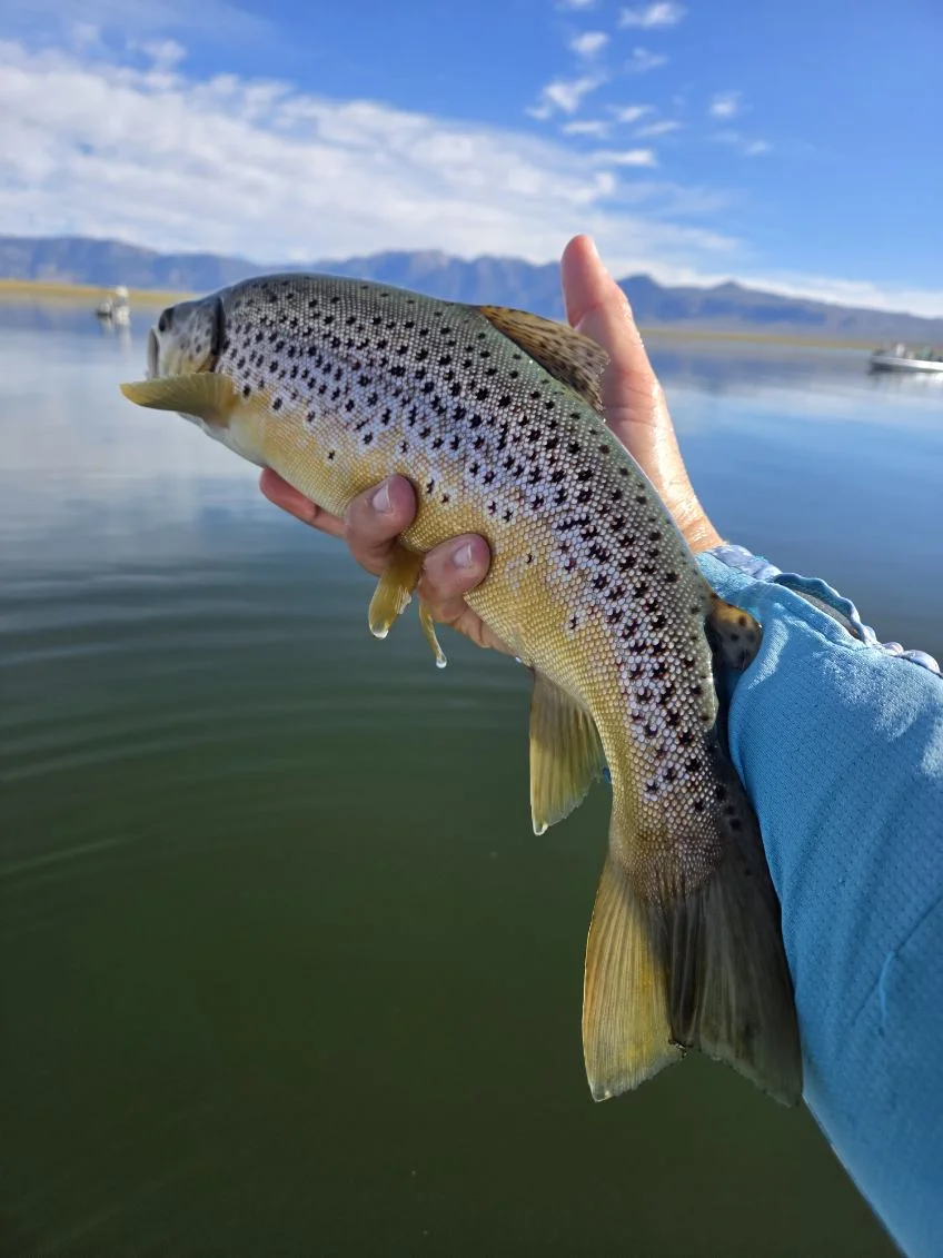 Fishing in Mammoth Lakes, California