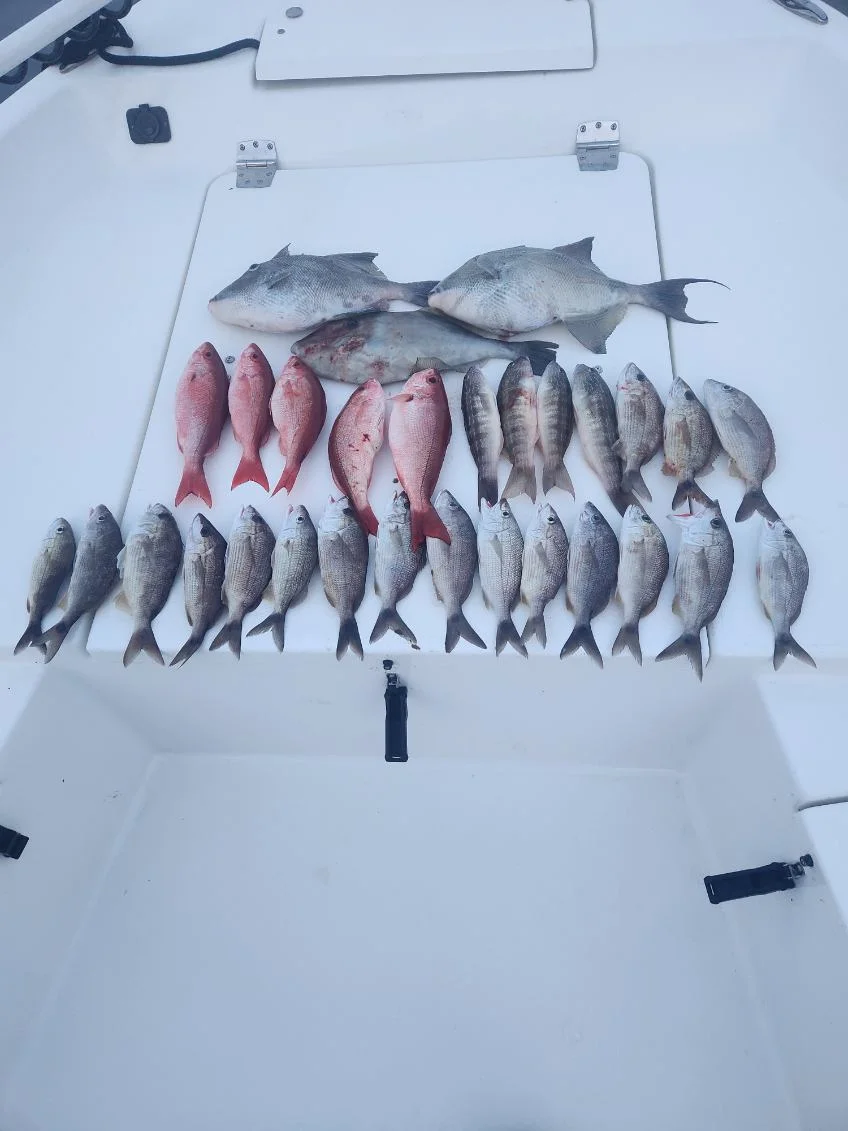 Perch, Scup, Triggerfish, Vermillion Snapper Fishing in Rockport, Texas