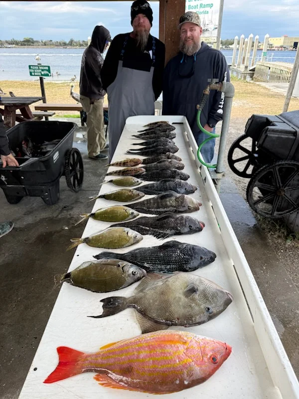 Fishing in Jacksonville, Florida