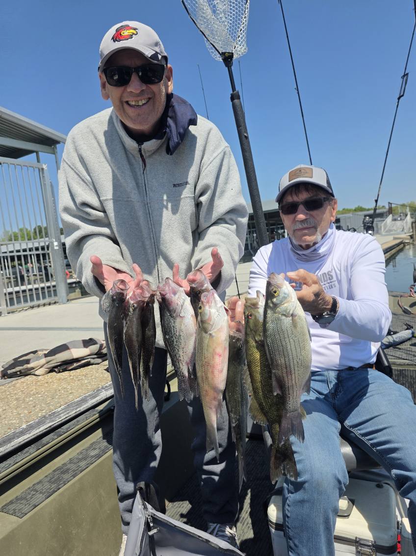 Fishing in Harrison, Tennessee