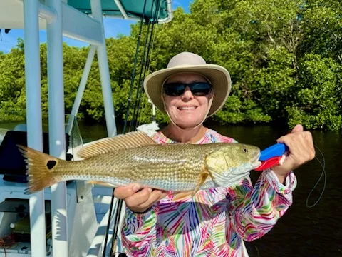 Fishing in St. Petersburg, Florida