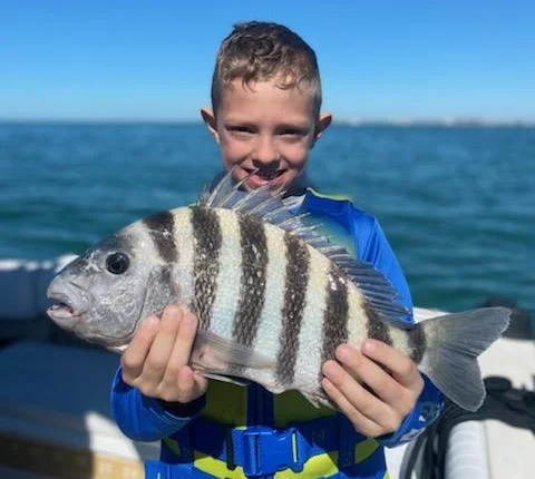 Sheepshead Fishing in Sarasota, Florida