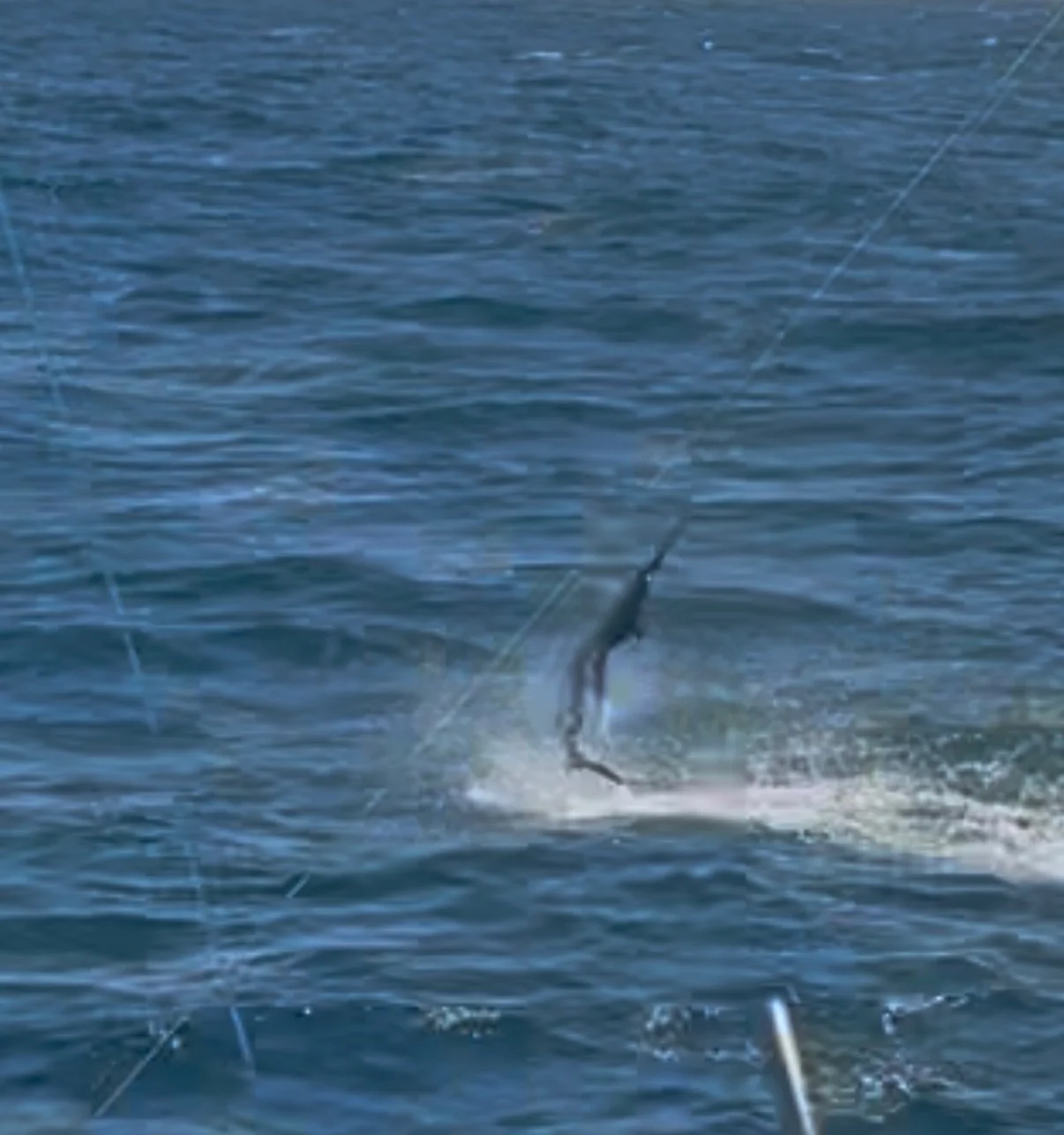 Fishing in Riviera Beach, Florida