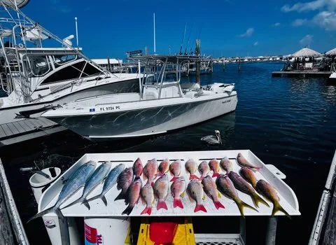 Fishing in Key West, Florida