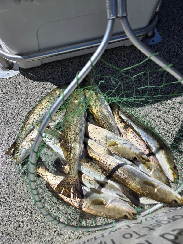 Fishing in Santa Rosa Beach, Florida
