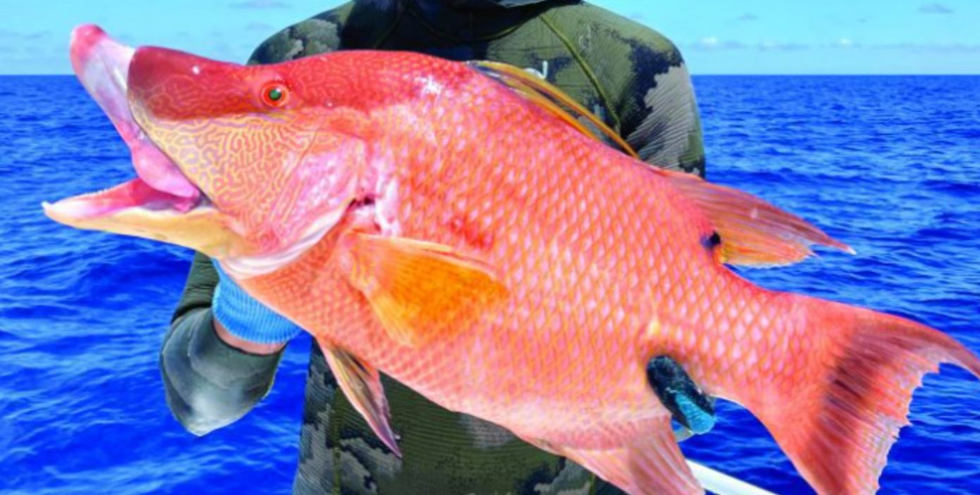 Fishing in Tierra Verde, Florida
