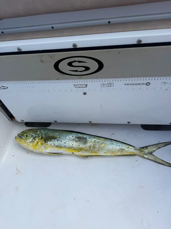 Fishing in Boynton Beach, Florida