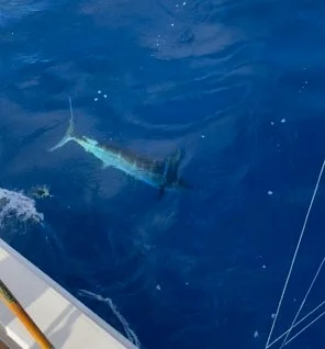 Fishing in San Juan, Puerto Rico