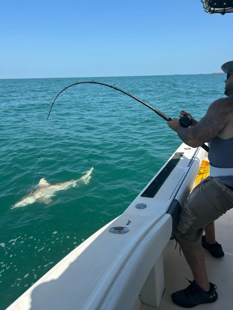 Blacktip Shark Fishing in Galveston, Texas