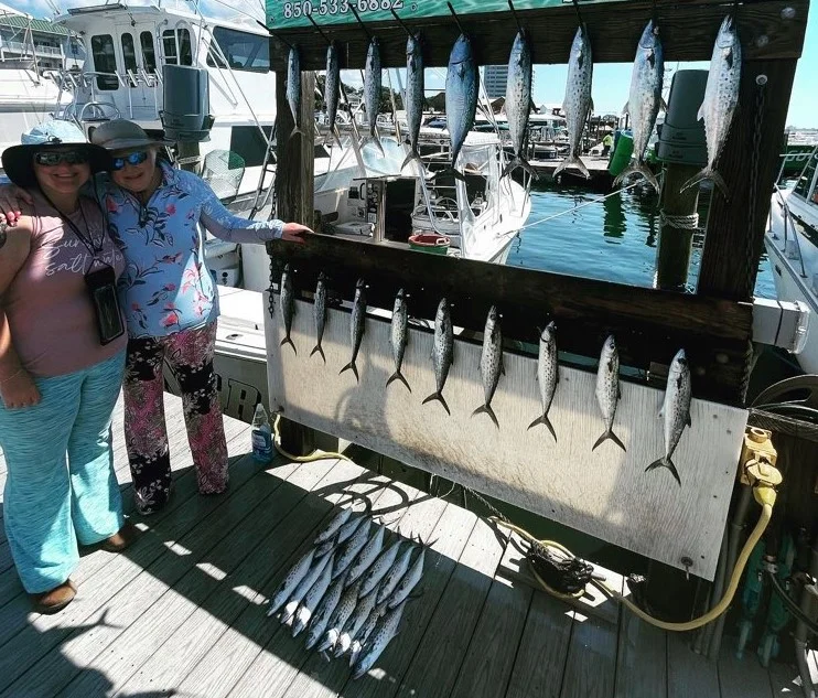 False Albacore, Spanish Mackerel Fishing in Destin, Florida