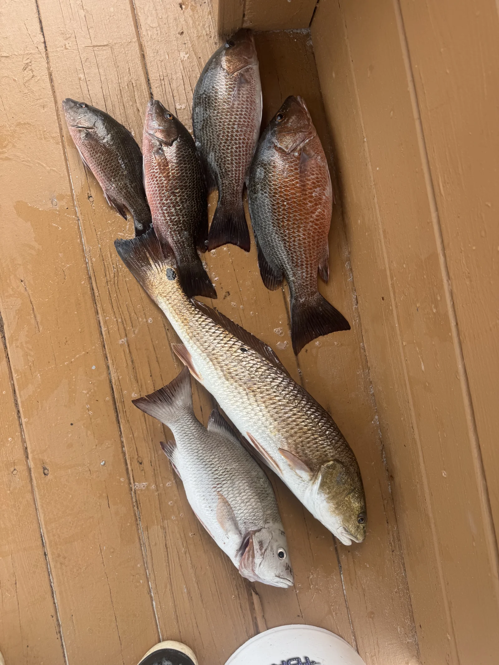 Fishing in Jacksonville, Florida