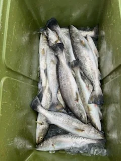 Fishing in Lacombe, Louisiana