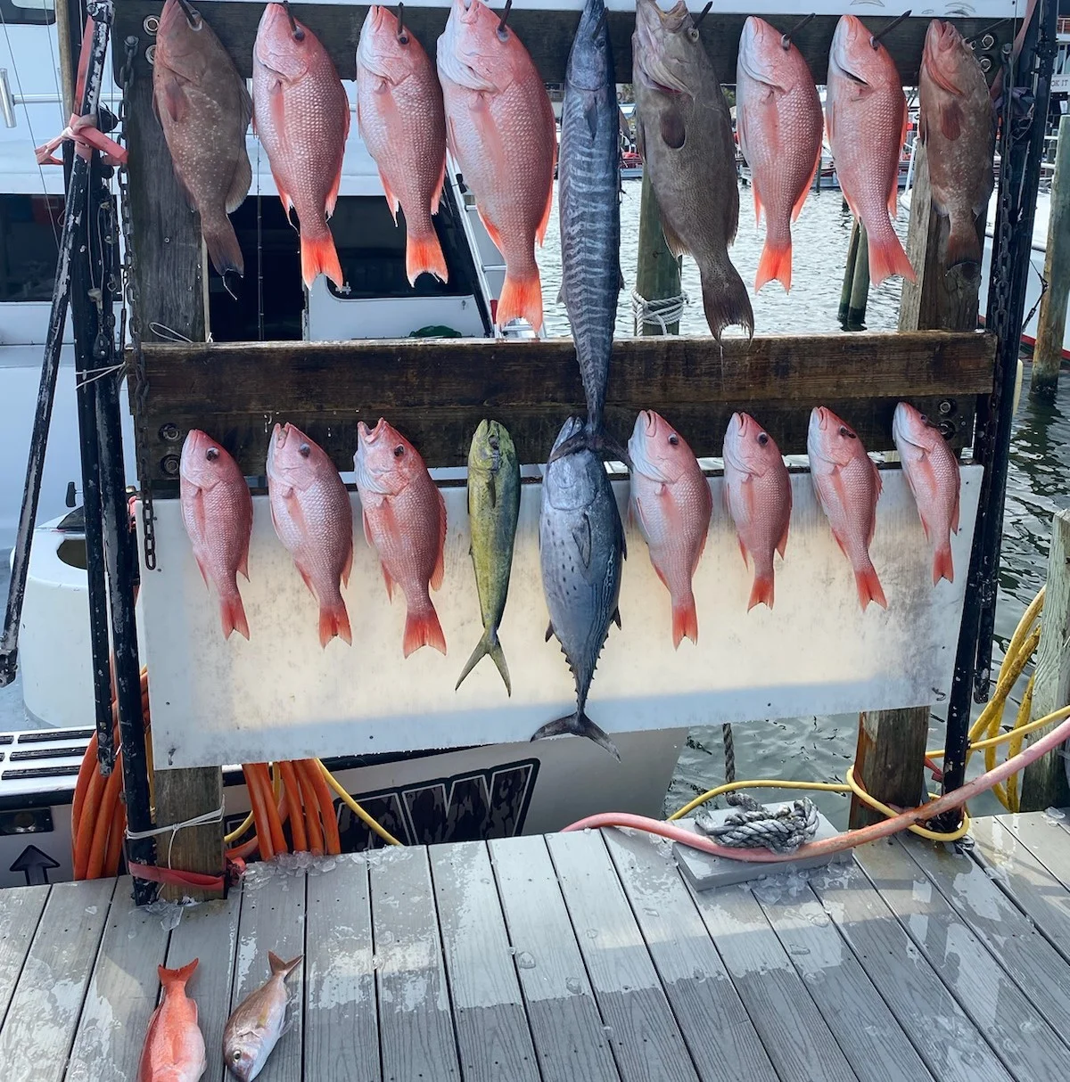 Fishing in Miramar Beach, Florida