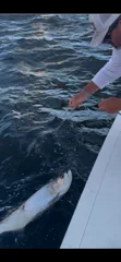Fishing in Holmes Beach, Florida