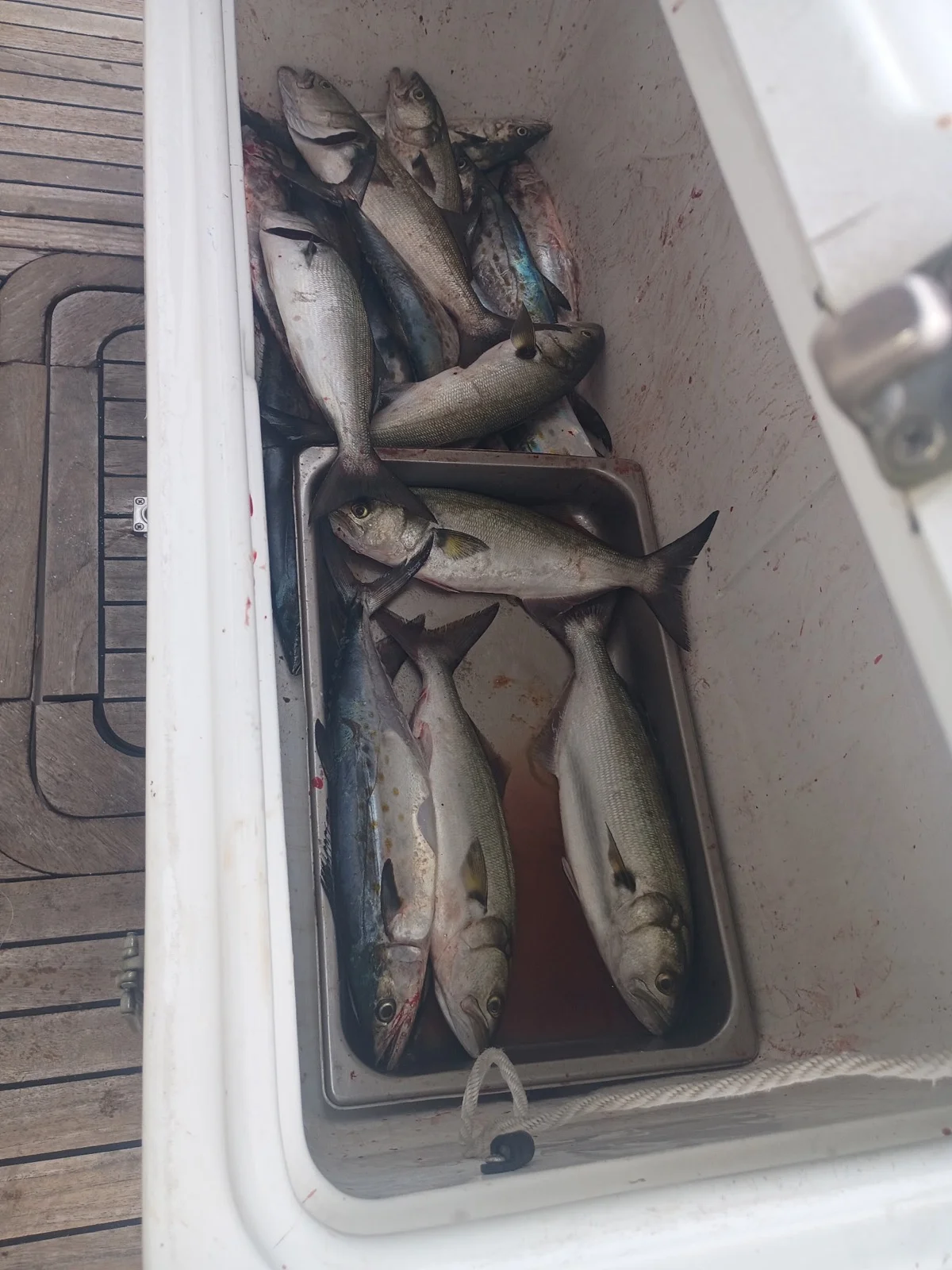 Fishing in Norfolk, Virginia