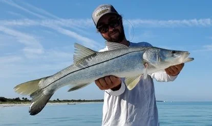 Redfish fishing in Clearwater, Florida