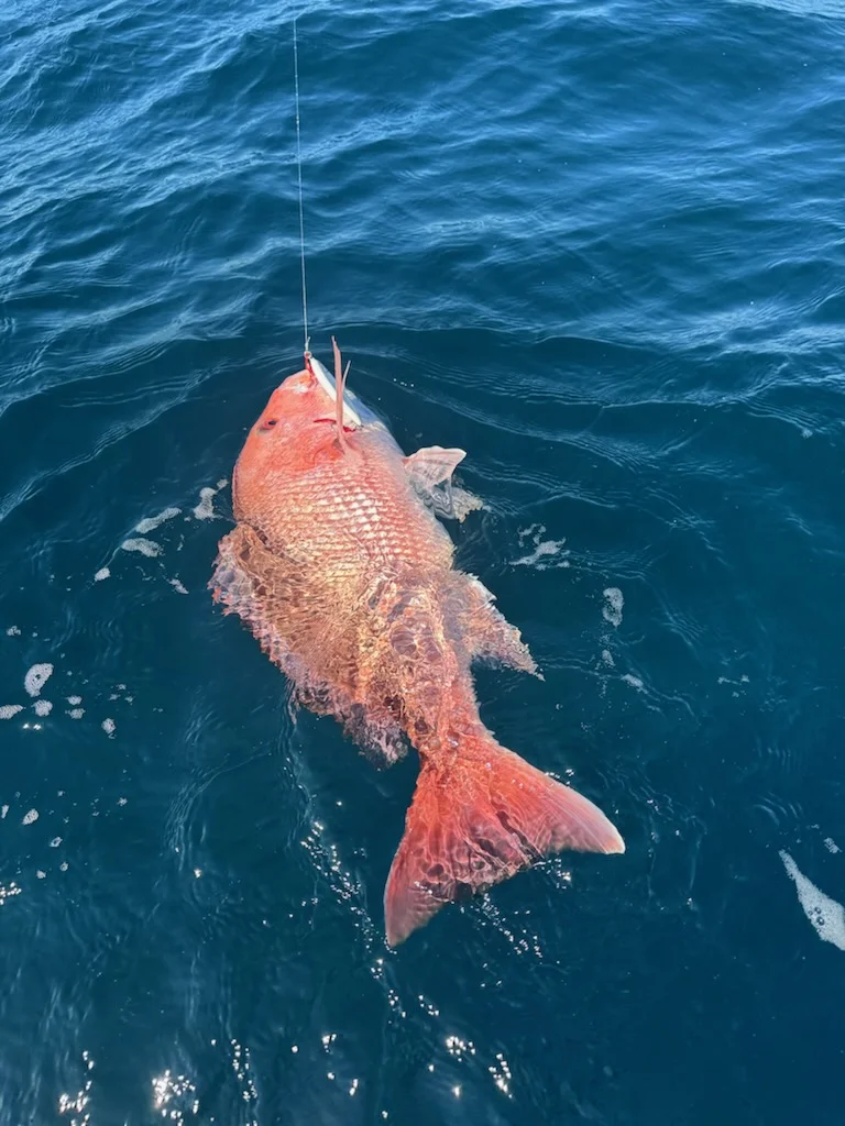 Fishing in Santa Rosa Beach, Florida