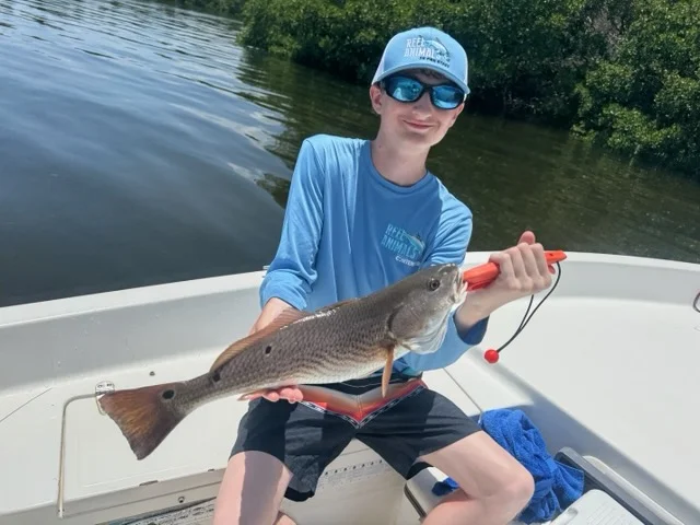 Fishing in St. Petersburg, Florida