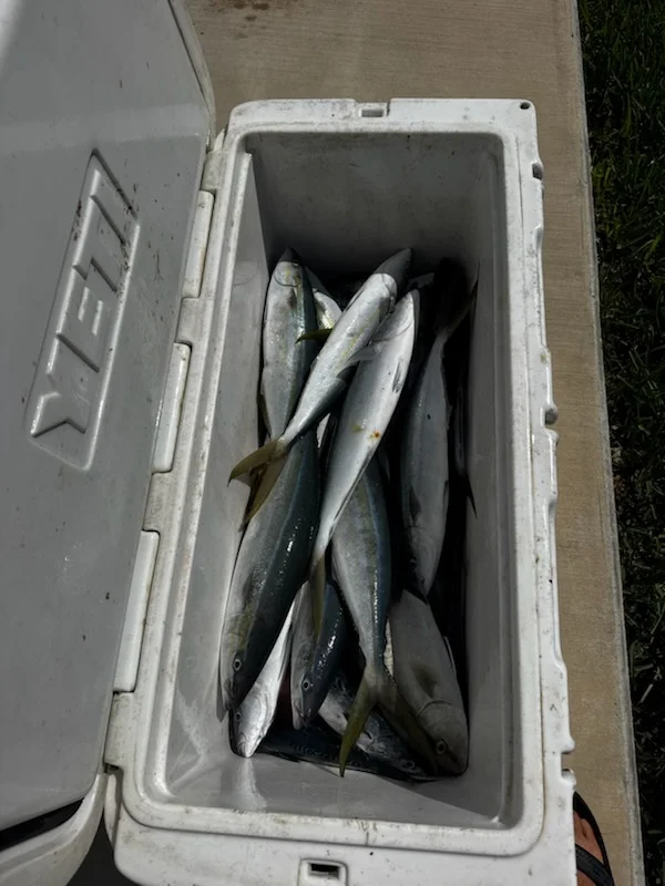 Fishing in Dania Beach, Florida