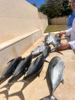 Fishing in Palmas del Mar, Puerto Rico