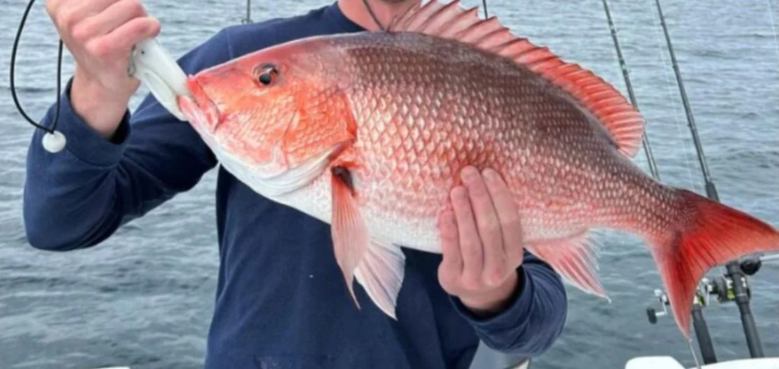 Gag Grouper Fishing in Clearwater, Florida