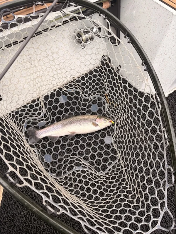 Fishing in Heber Springs, Arkansas