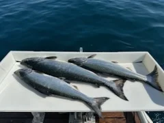 Fishing in Kenosha, Wisconsin