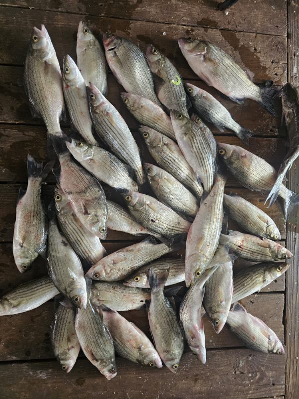 Fishing in Kingston, Oklahoma