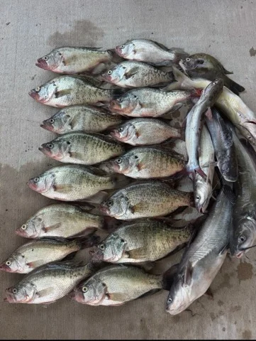 Fishing in Montgomery, Alabama