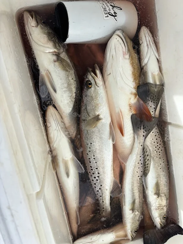 Fishing in New Orleans, Louisiana