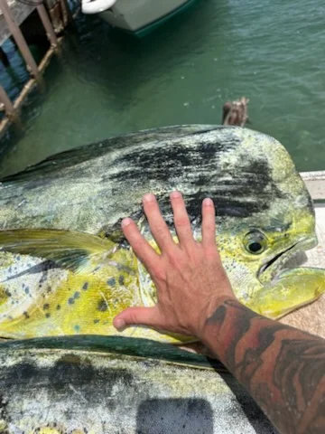 Fishing in Riviera Beach, Florida