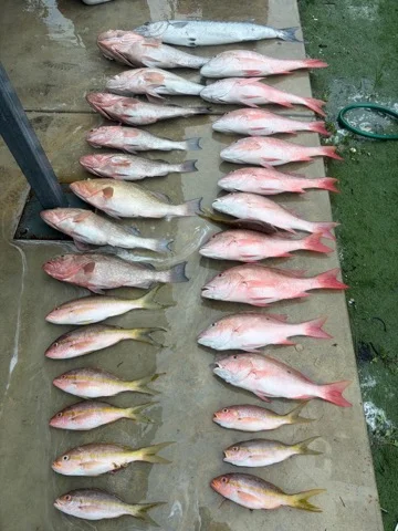 Fishing in Miami, Florida