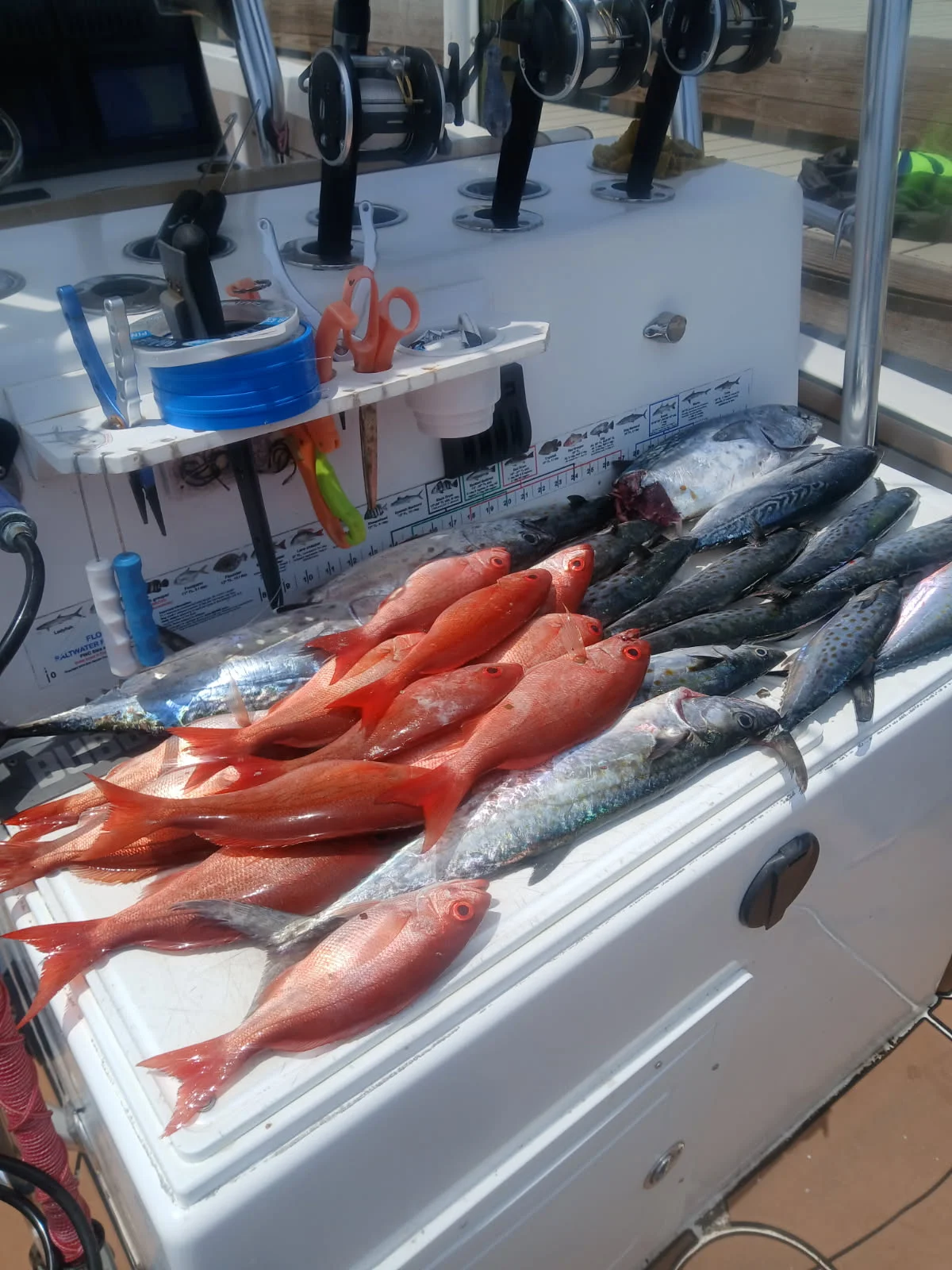 Fishing in Gulf Breeze, Florida