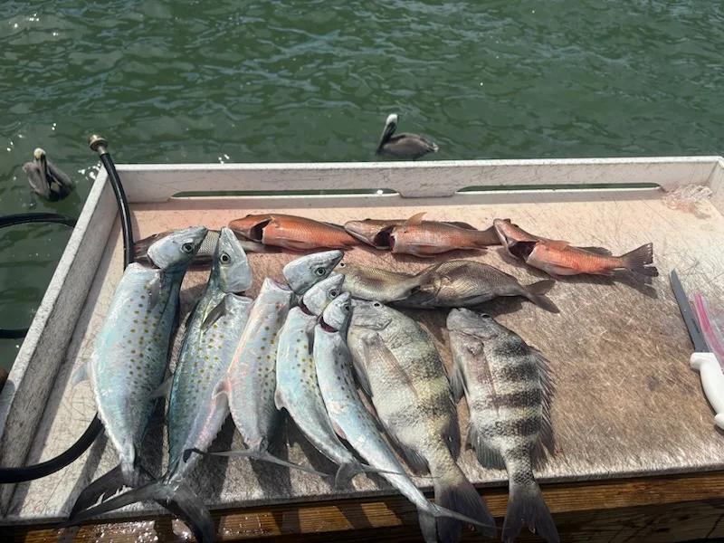 Fishing in Largo, Florida